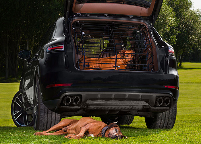 Hundegitter für Ihr Auto – Direkt vom Hersteller