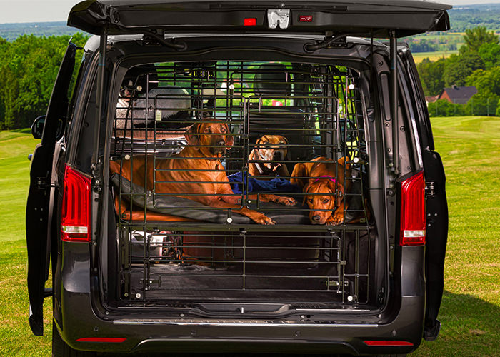 JOYTUTUS Hundegitter Auto Kofferraum, Kofferraum Trenngitter Hund,  Verstellbare Breite, Hundeschutz Gitter, kofferraumgitter Hund, Universal  für die meisten Autos : : Haustier